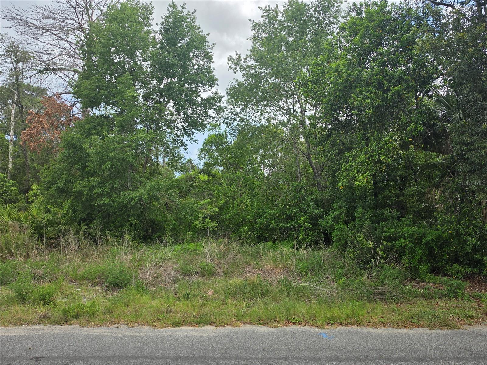 SPRING HILL - Land