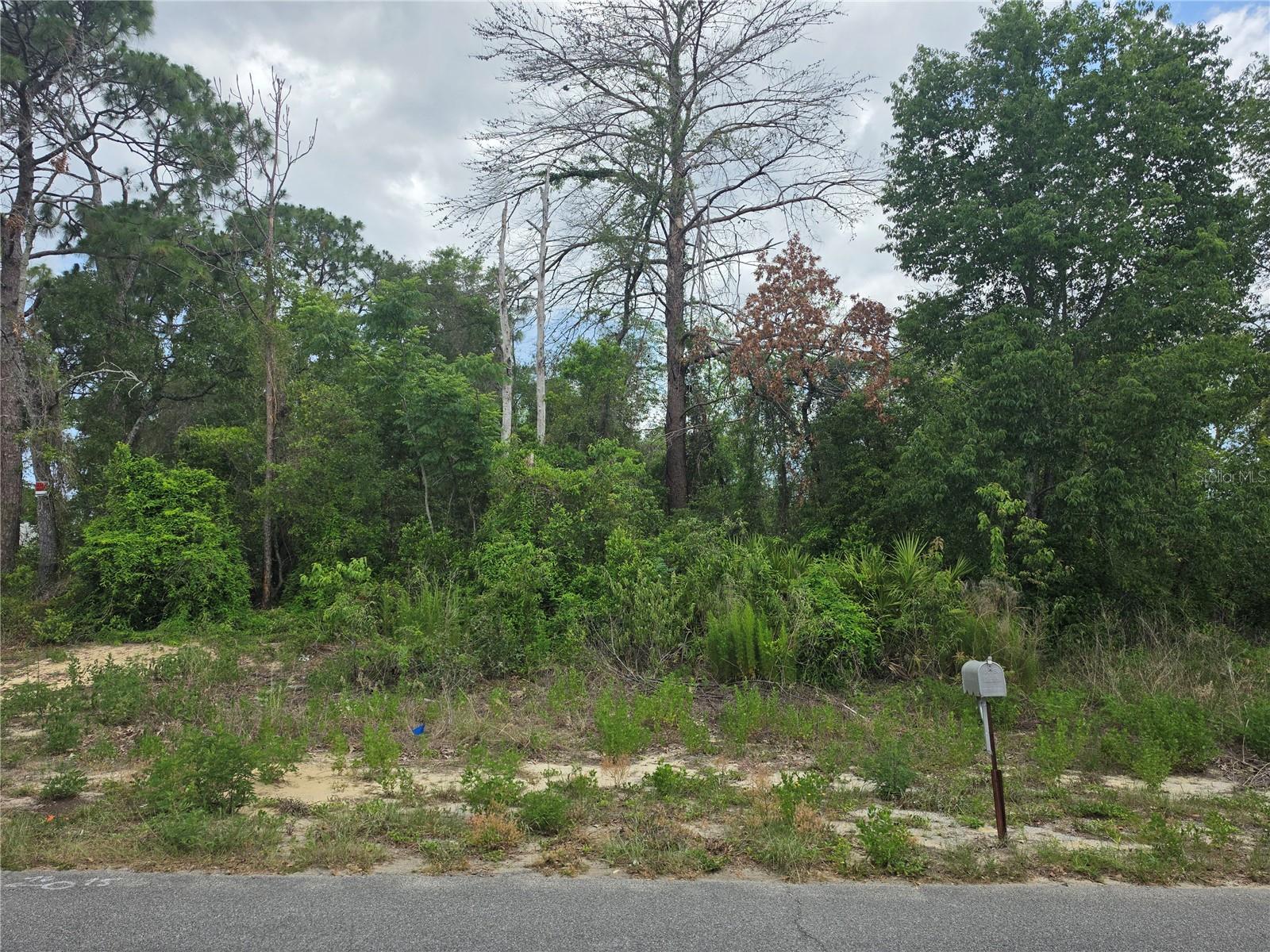 SPRING HILL - Land