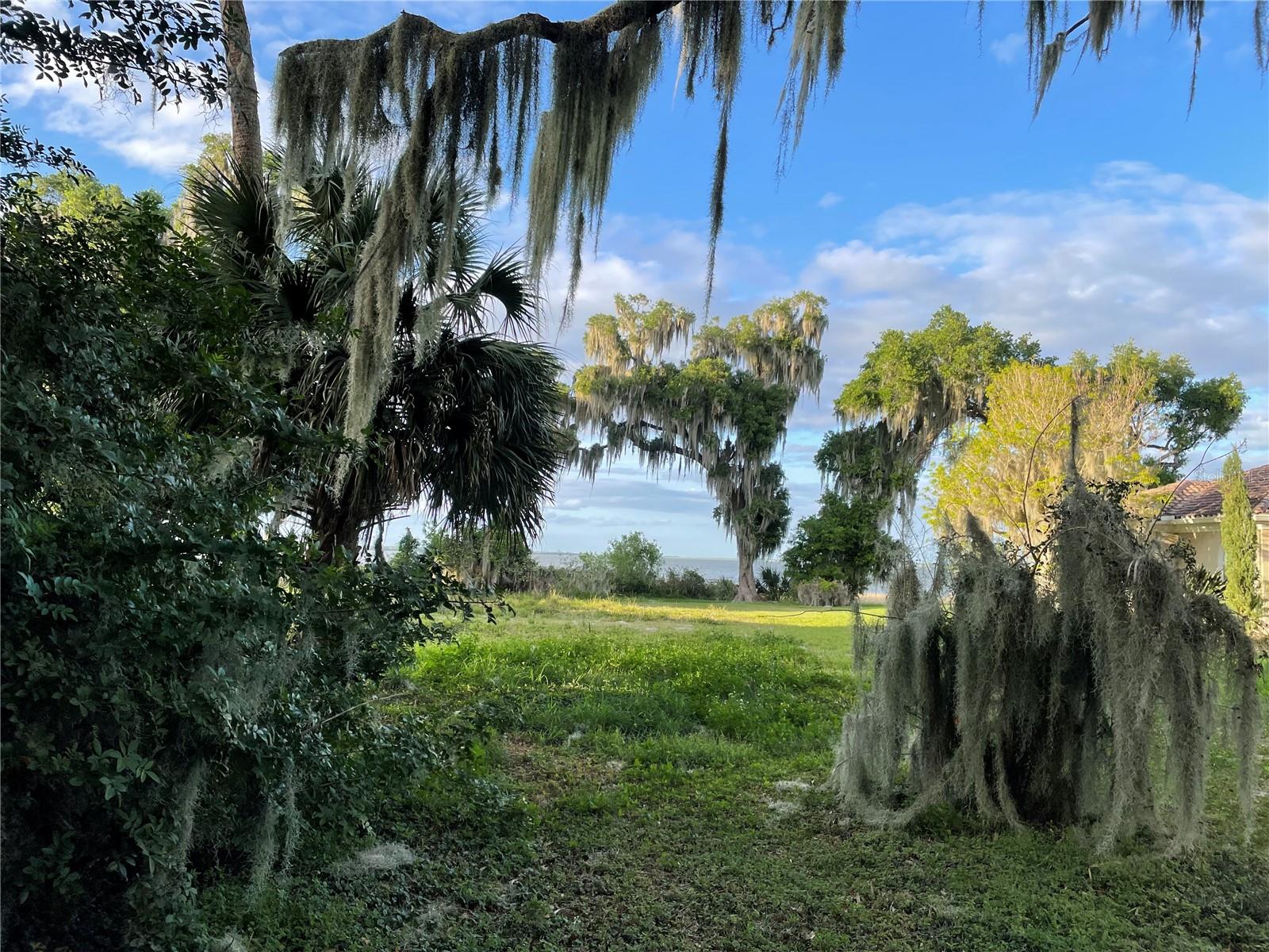 MAJESTIC OAKS LANDING - Land