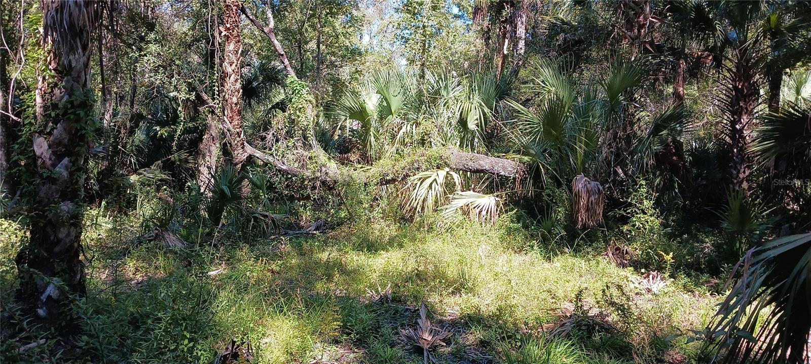 ETHEL J DICUS UNREC SUB - Land
