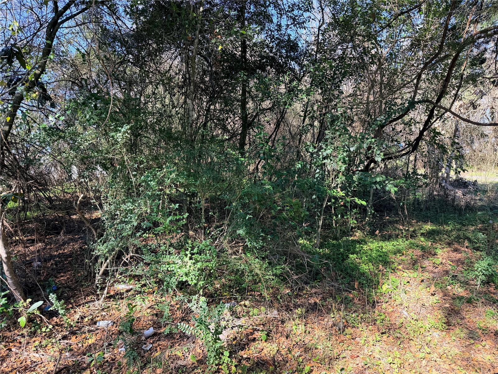 ALACHUA LEROYS ADD - Land