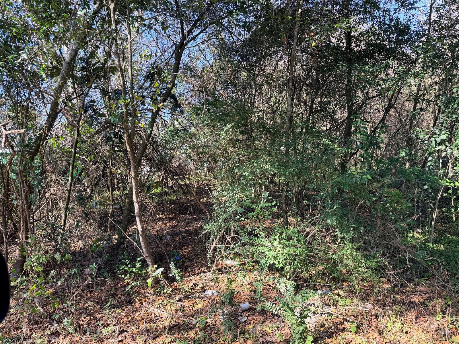 ALACHUA LEROYS ADD - Land