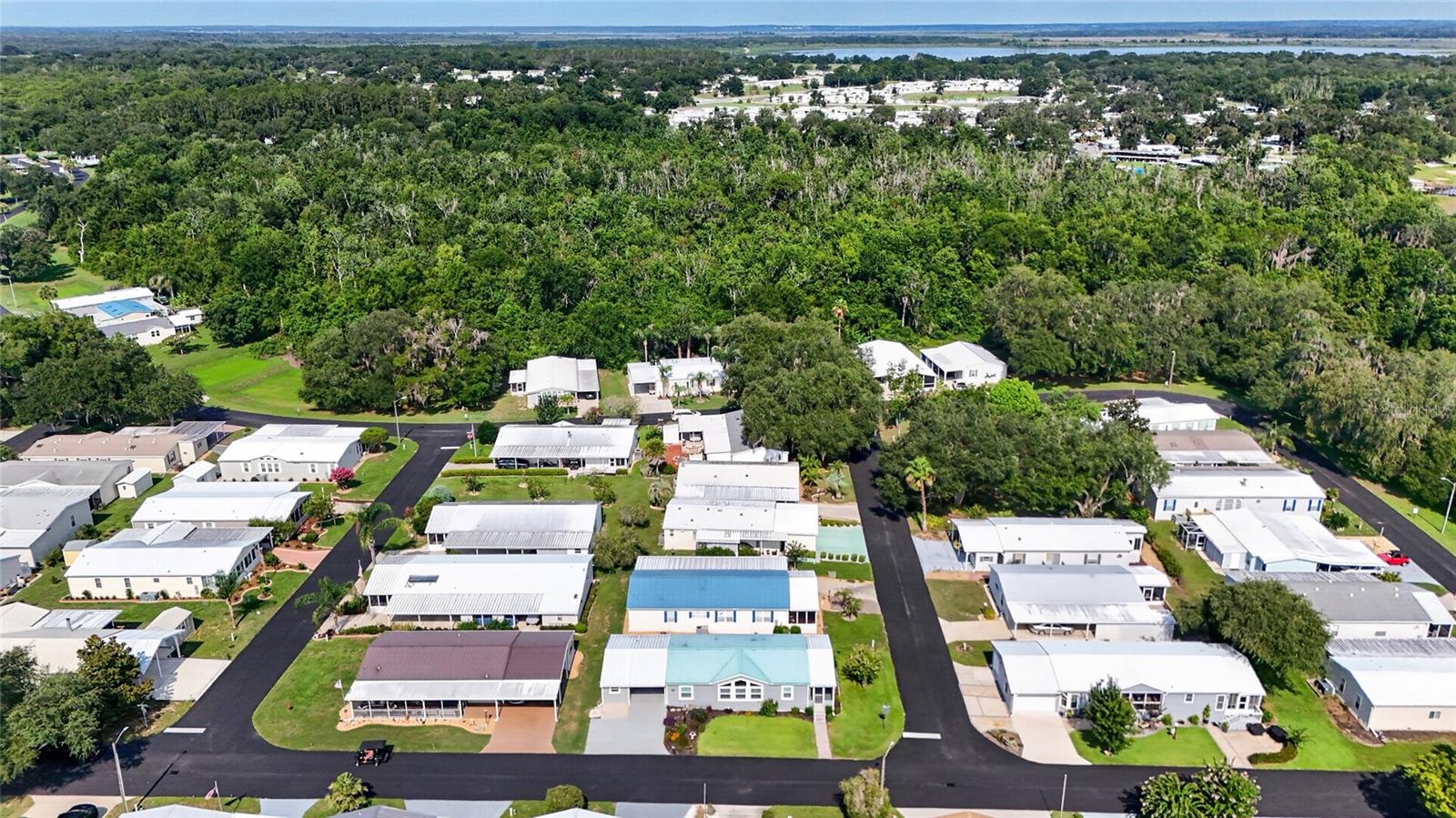 LAKE YALE ESTATES - Residential