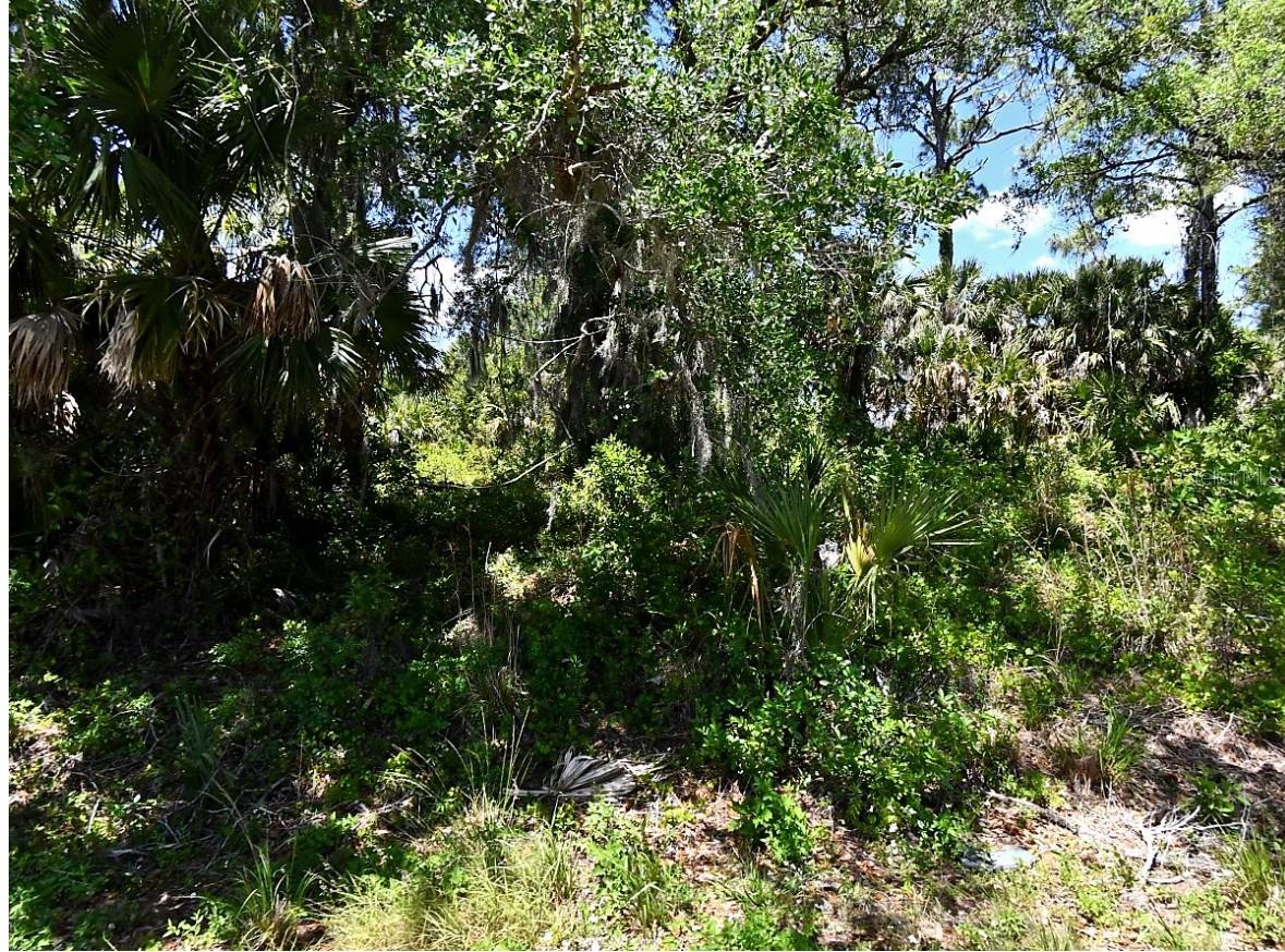 Great opportunity to own a residential lot in the growing City of North Port! This 10,000 sq ft lot is located in a quiet residential area and zoned R1, offering the perfect setting to build your future Florida home or hold as an investment. Enjoy the convenience of nearby shopping, dining, schools, parks, and easy access to major roads. North Port continues to expand with new development while offering a peaceful lifestyle surrounded by nature. Don’t miss the chance to secure your piece of Southwest Florida!