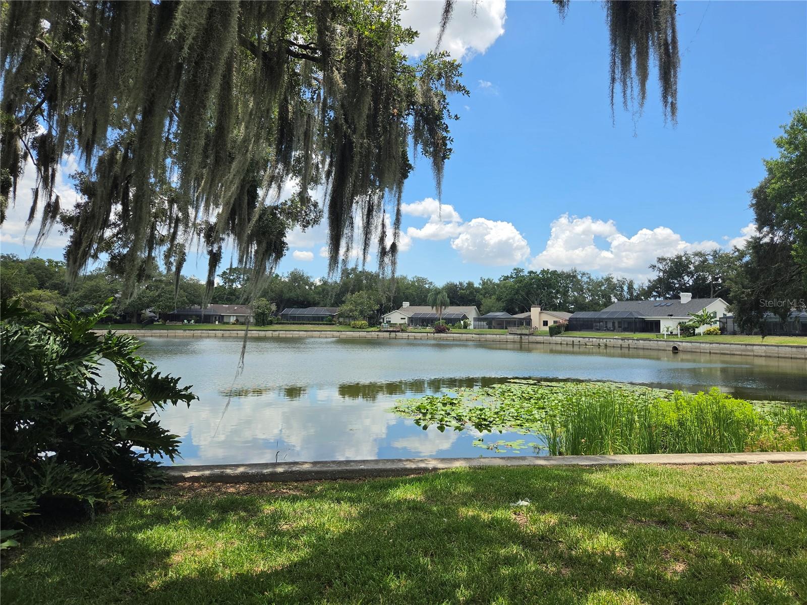 LAKE MAGDALENE MANORS - Residential