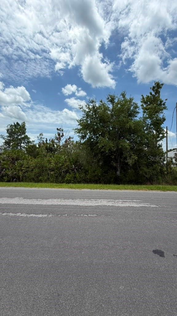 CAPE ORLANDO ESTATES - Land