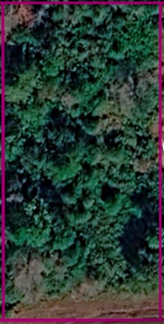 CAPE ORLANDO ESTATES - Land