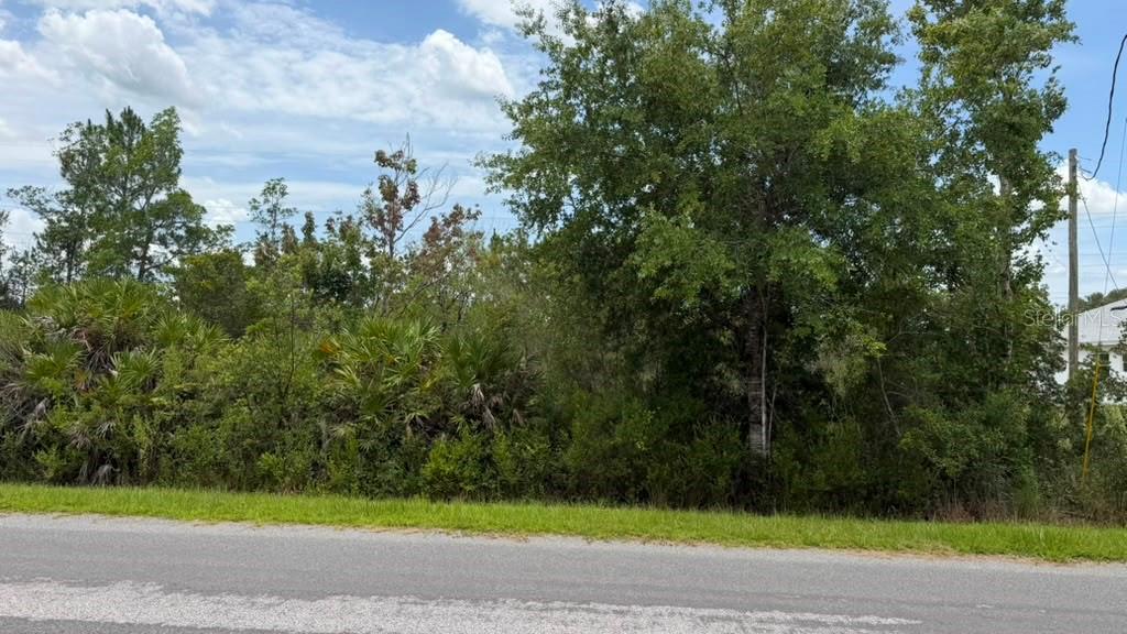 CAPE ORLANDO ESTATES - Land
