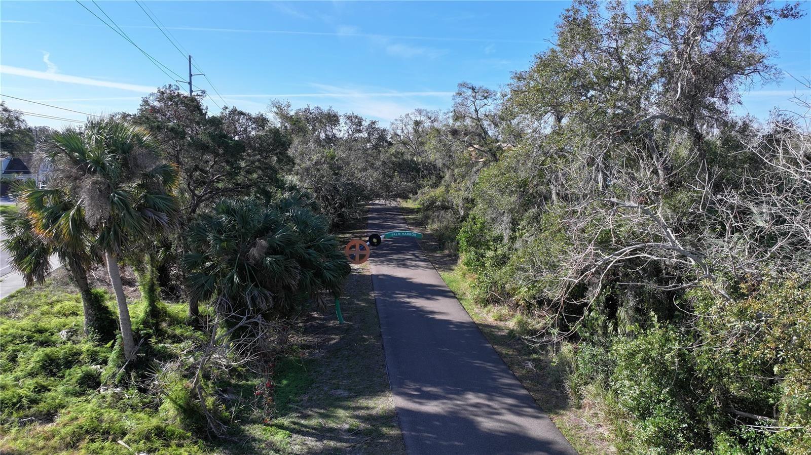 VILLAS OF SAN MARINO AT PALM HARBOR - Residential