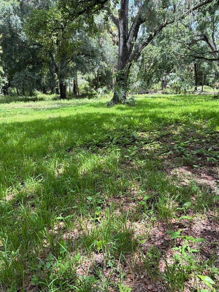 NOT IN SUBDIVISION - Residential