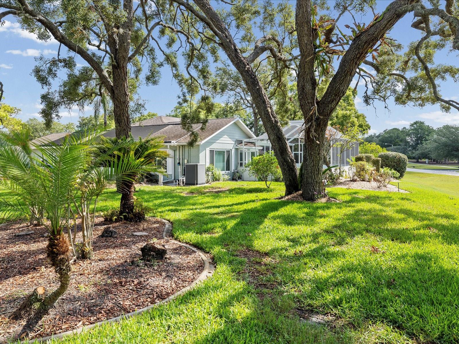 TIMBER PINES - Residential