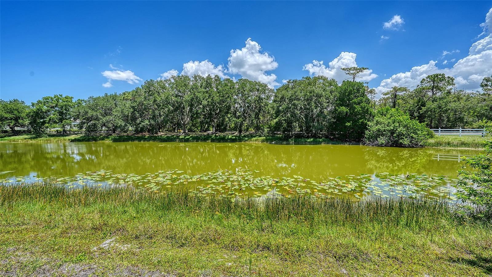 FOXFIRE WEST - Residential