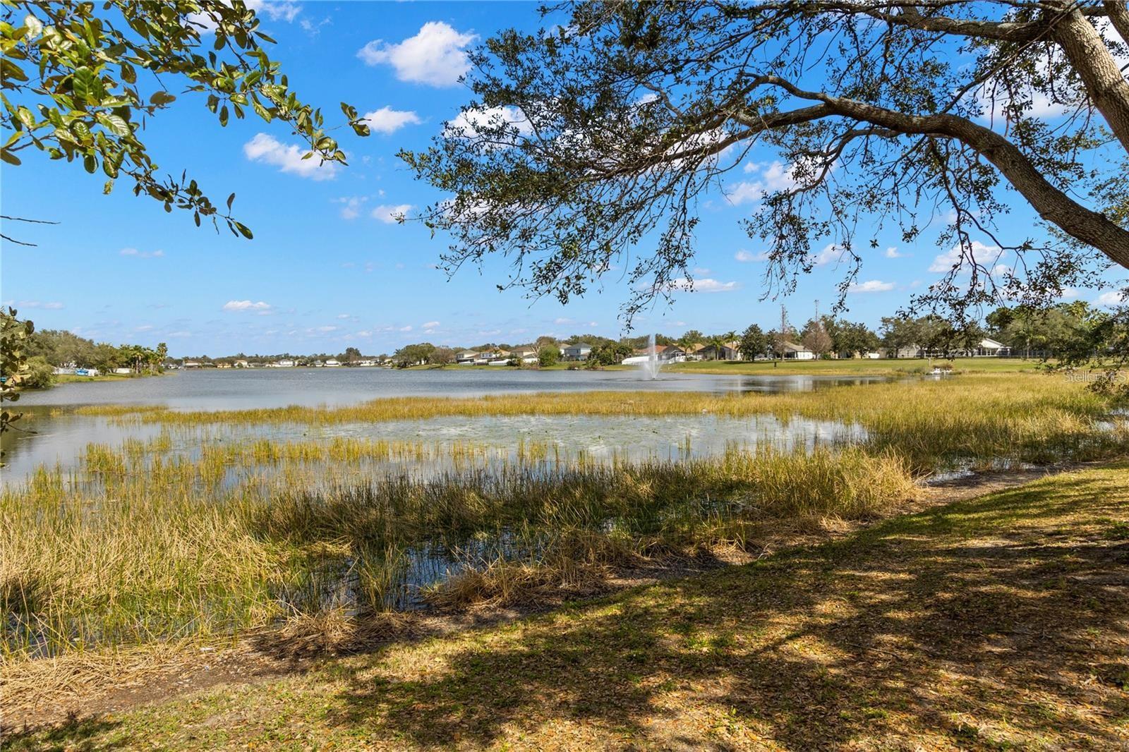 KINGS LAKE TWNHMS - Residential