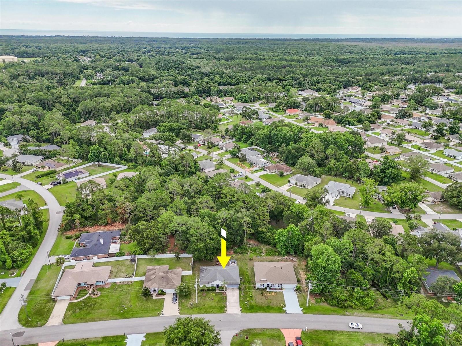 PINE GROVE SEC-25 PALM COAST - Residential