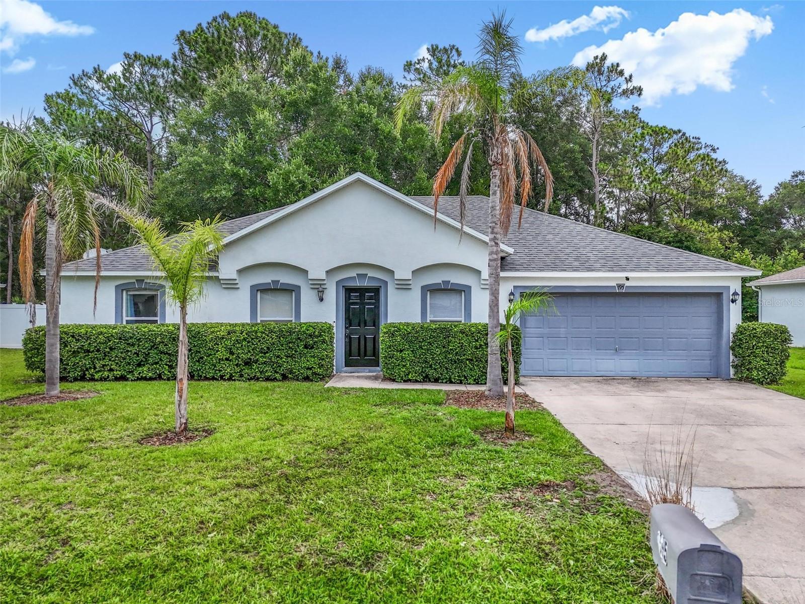 PINE GROVE SEC-25 PALM COAST - Residential