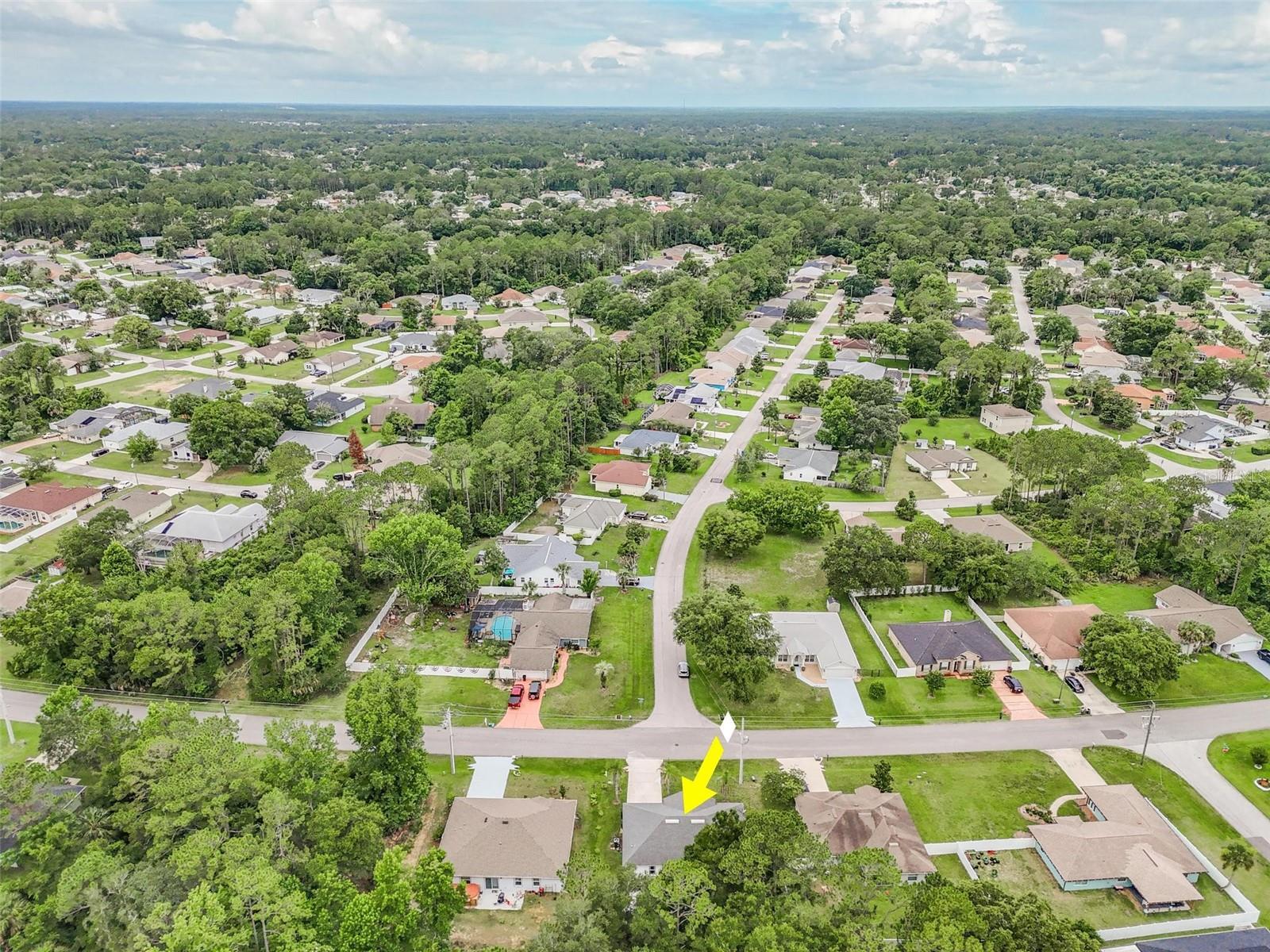 PINE GROVE SEC-25 PALM COAST - Residential