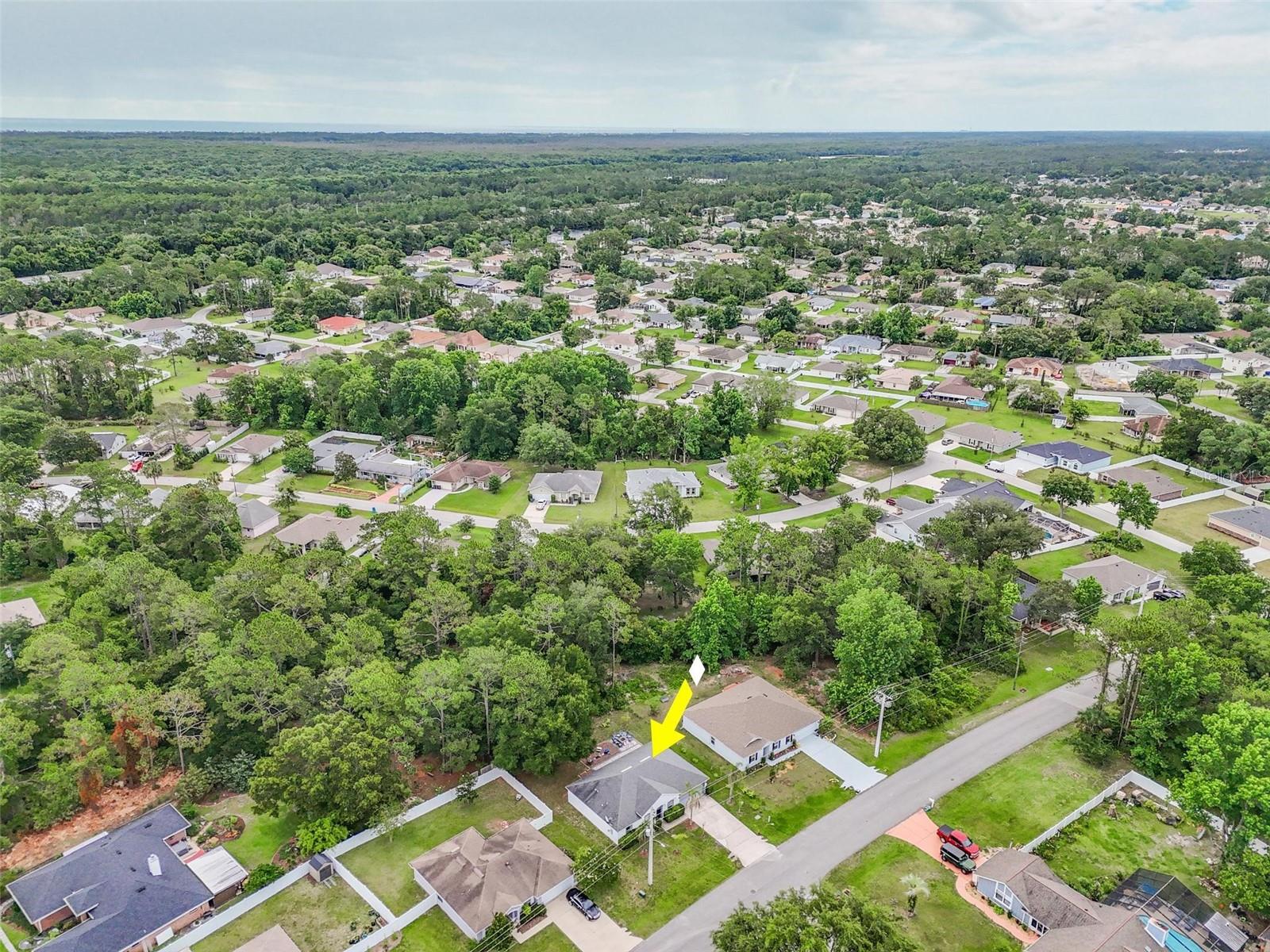 PINE GROVE SEC-25 PALM COAST - Residential