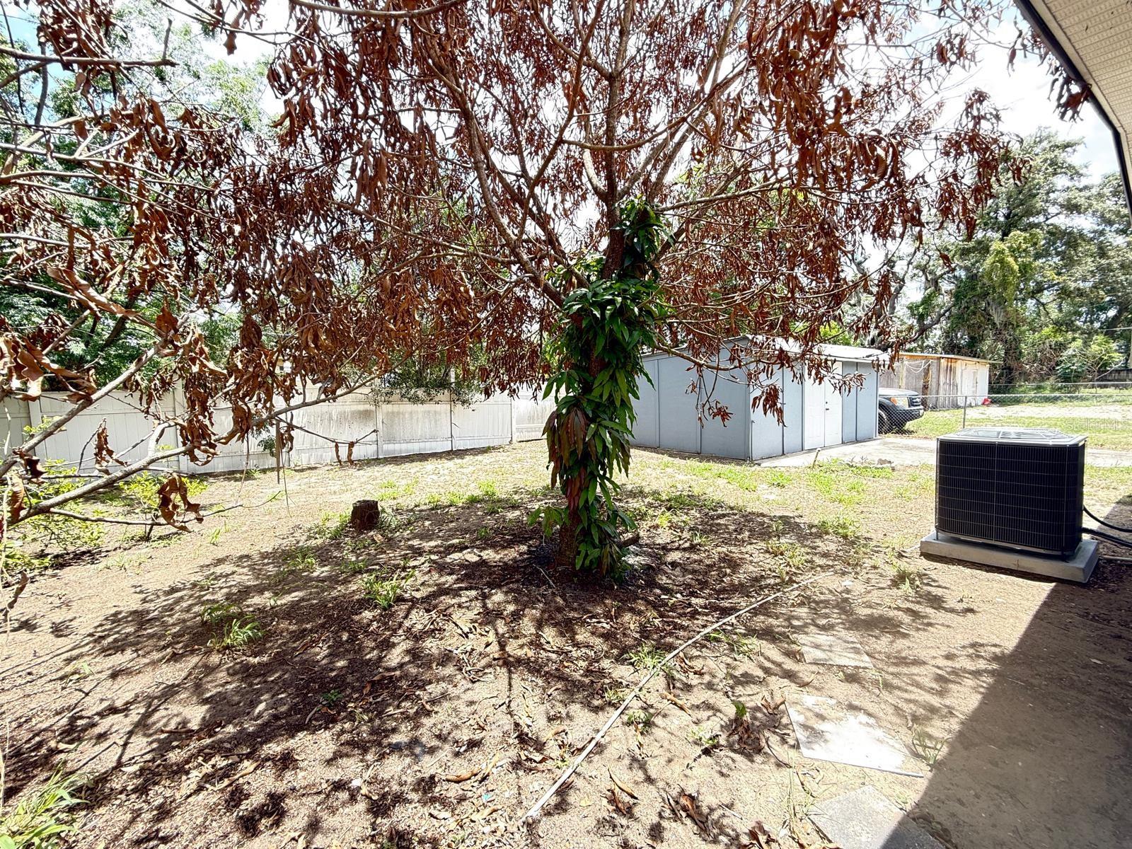 CRESCENT HILLS - Residential