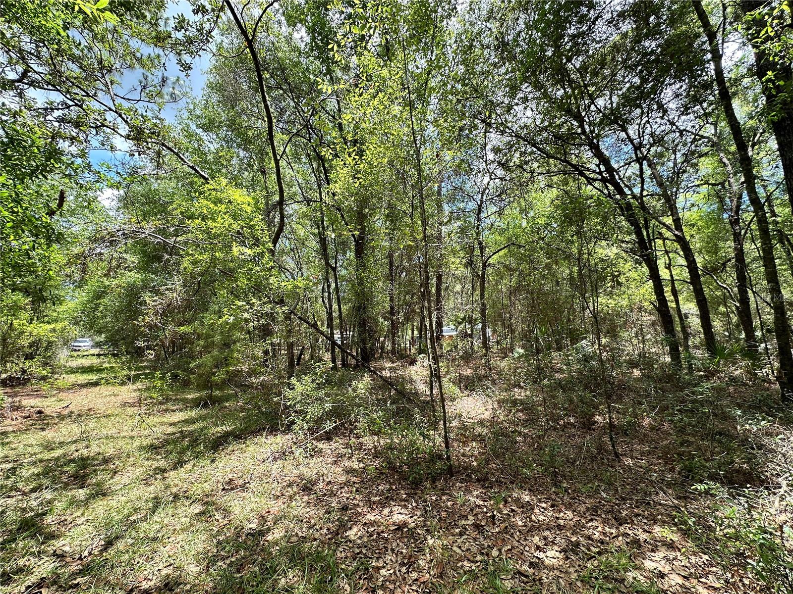 NORTH SOUTH ESTATE - Land