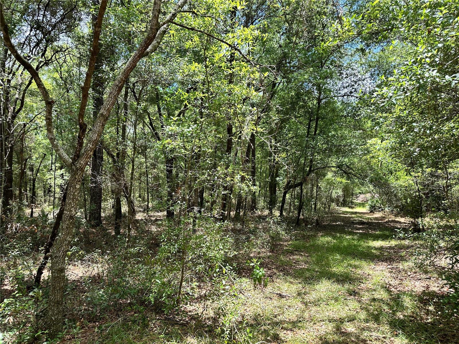 NORTH SOUTH ESTATE - Land