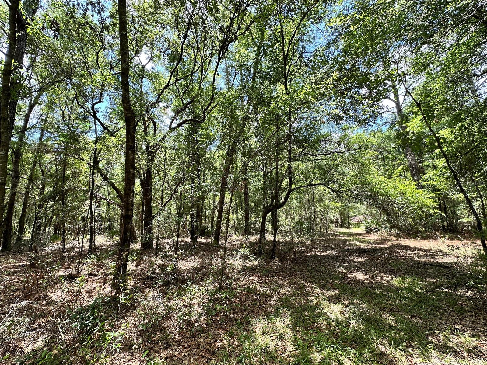 NORTH SOUTH ESTATE - Land