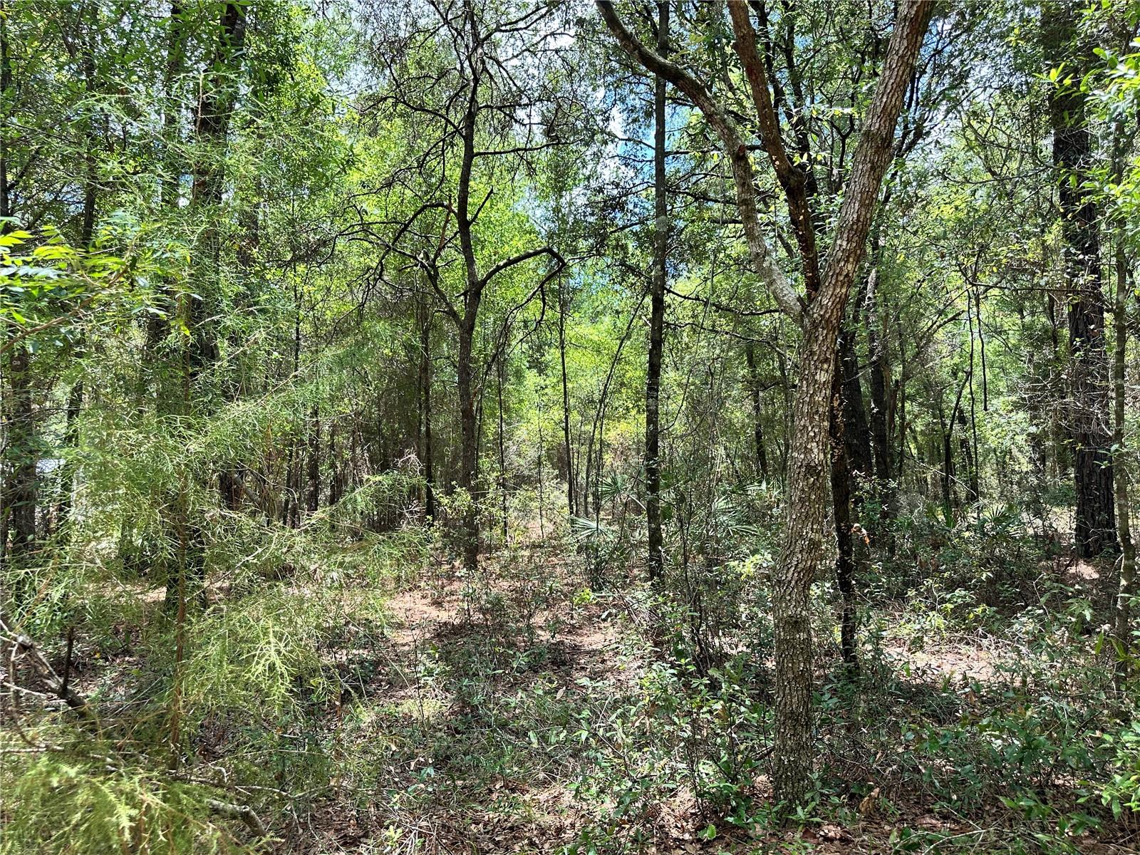 NORTH SOUTH ESTATE - Land