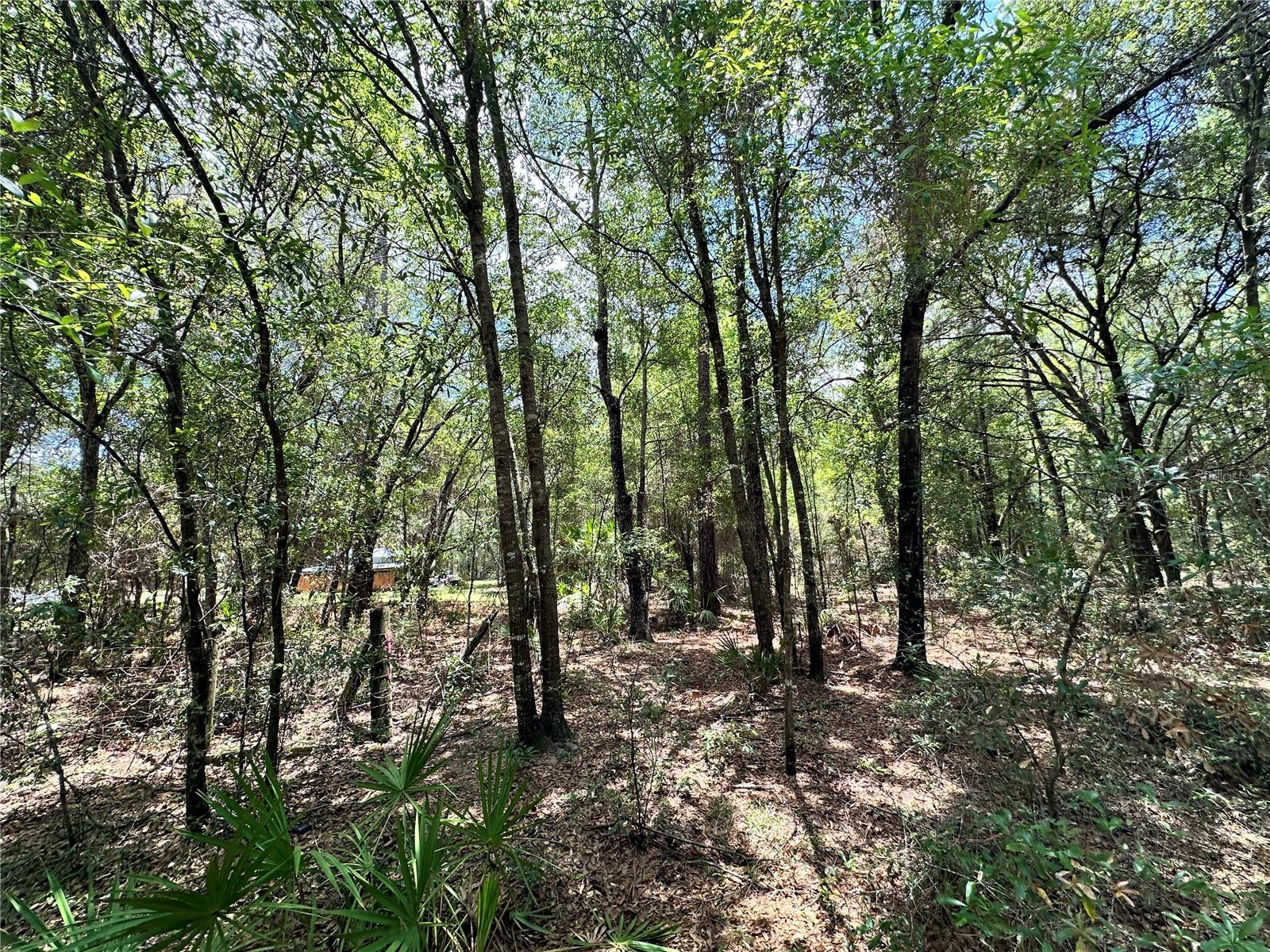 NORTH SOUTH ESTATE - Land
