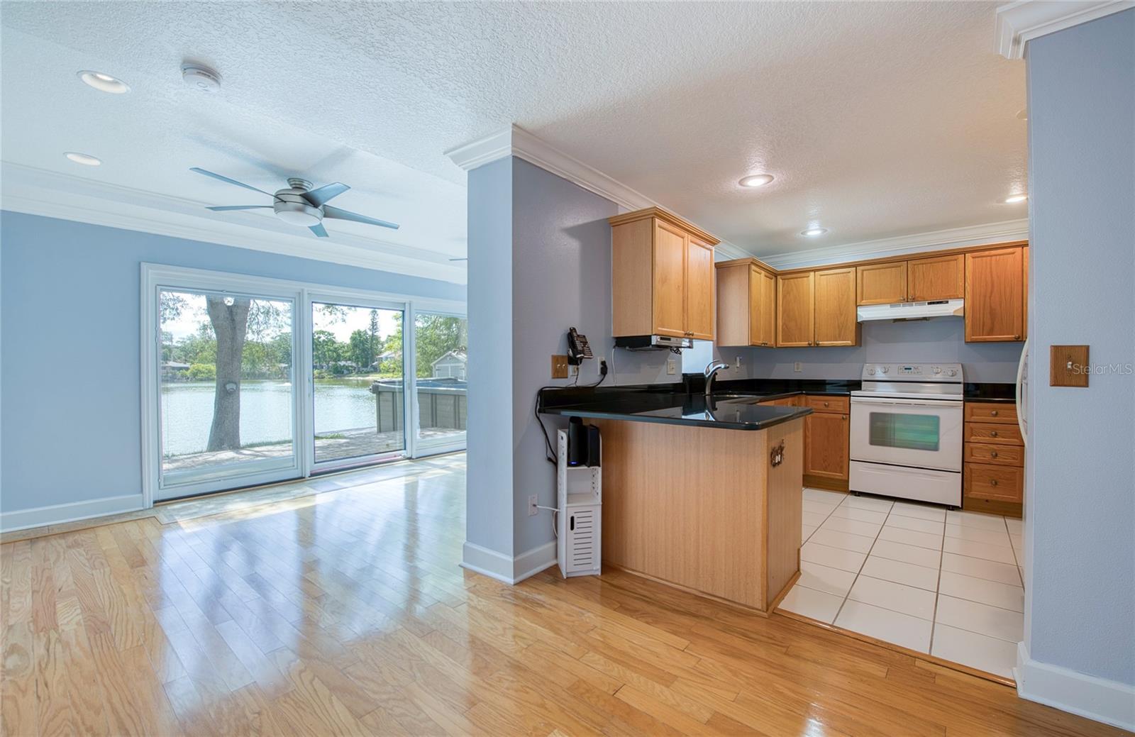 LEILA AVE VILLAS - Residential