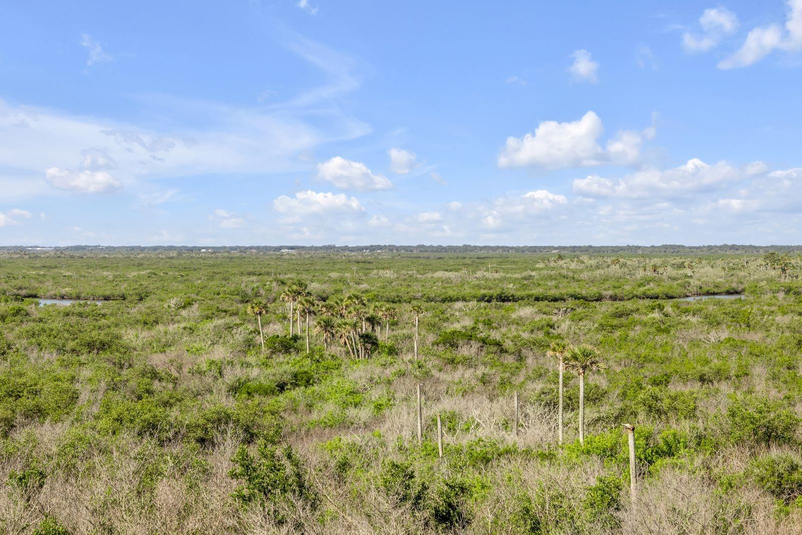 OCEAN WALK/NEW SMYRNA BEACH-BL - Residential
