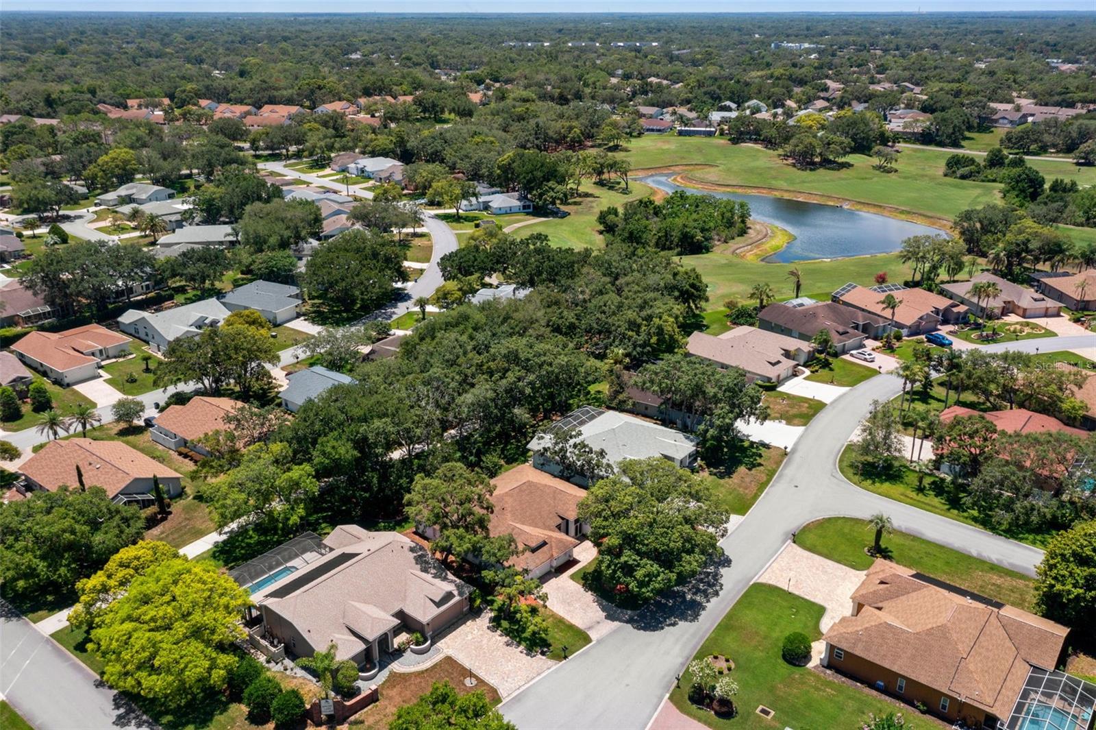 TIMBER PINES - Residential