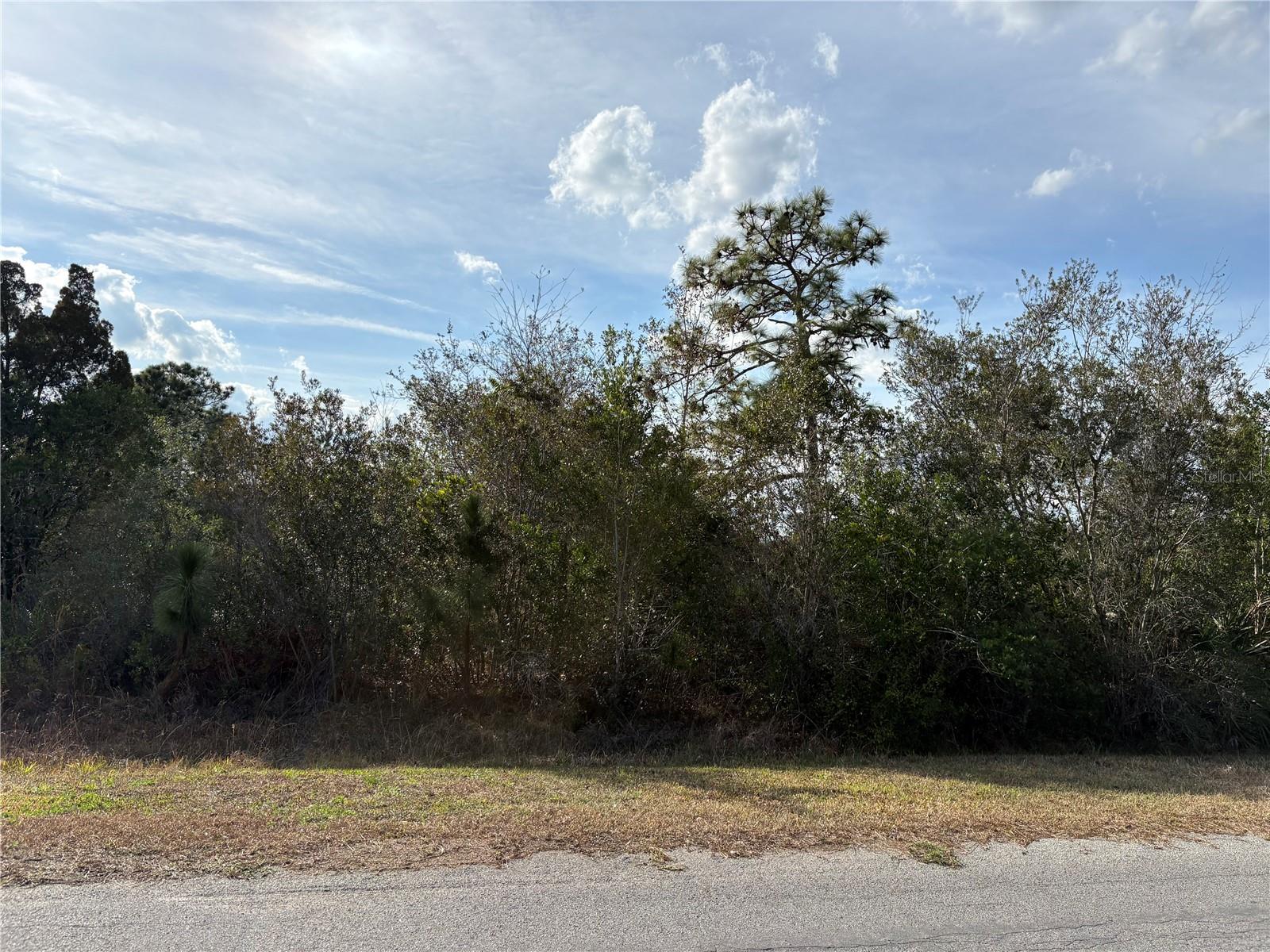 Corner lot. Take advantage of this private 1.03 corner acre lot in the thriving community of Wedgefield. This will not last!! A great opportunity to build your dream home. Wedgefield is conveniently located off Interstate 528. Orlando airport (20 min), downtown Orlando (30 min), theme parks (40 min), Lake Nona (20 min). Beautiful beaches to the East. University of Central Florida (25 min). Research Park, the technological hub for research and development (25 min). Port Canaveral cruise terminals (25 min). Wedgefield offers a new school (K-8), parks, and horse trails. Hal Scott Regional Preserve, adjacent to Wedgefield, offers 9,515-acres of trails for hiking, horseback riding, and mountain biking.