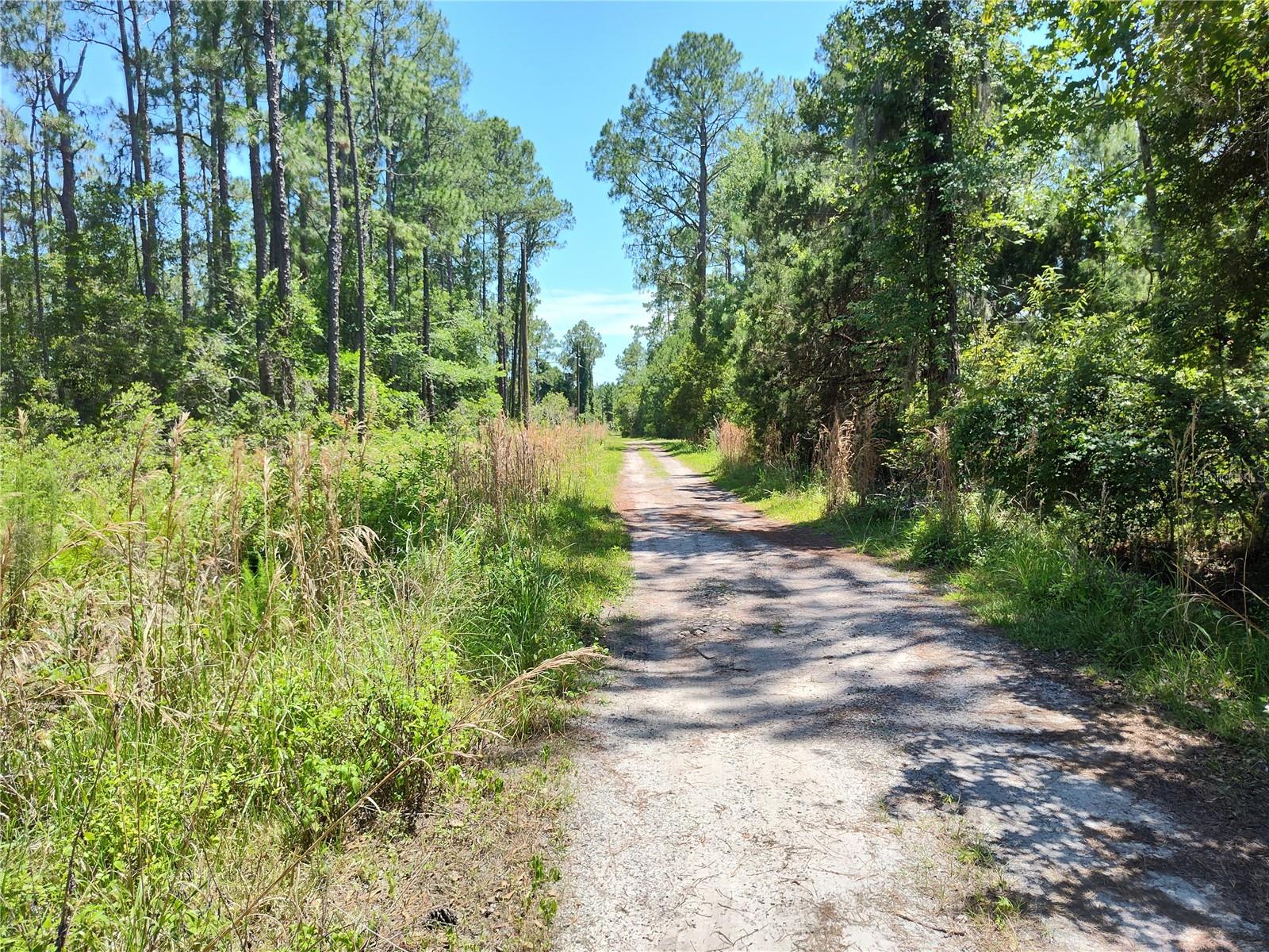 BLACK SINK CAMPSITES - Land