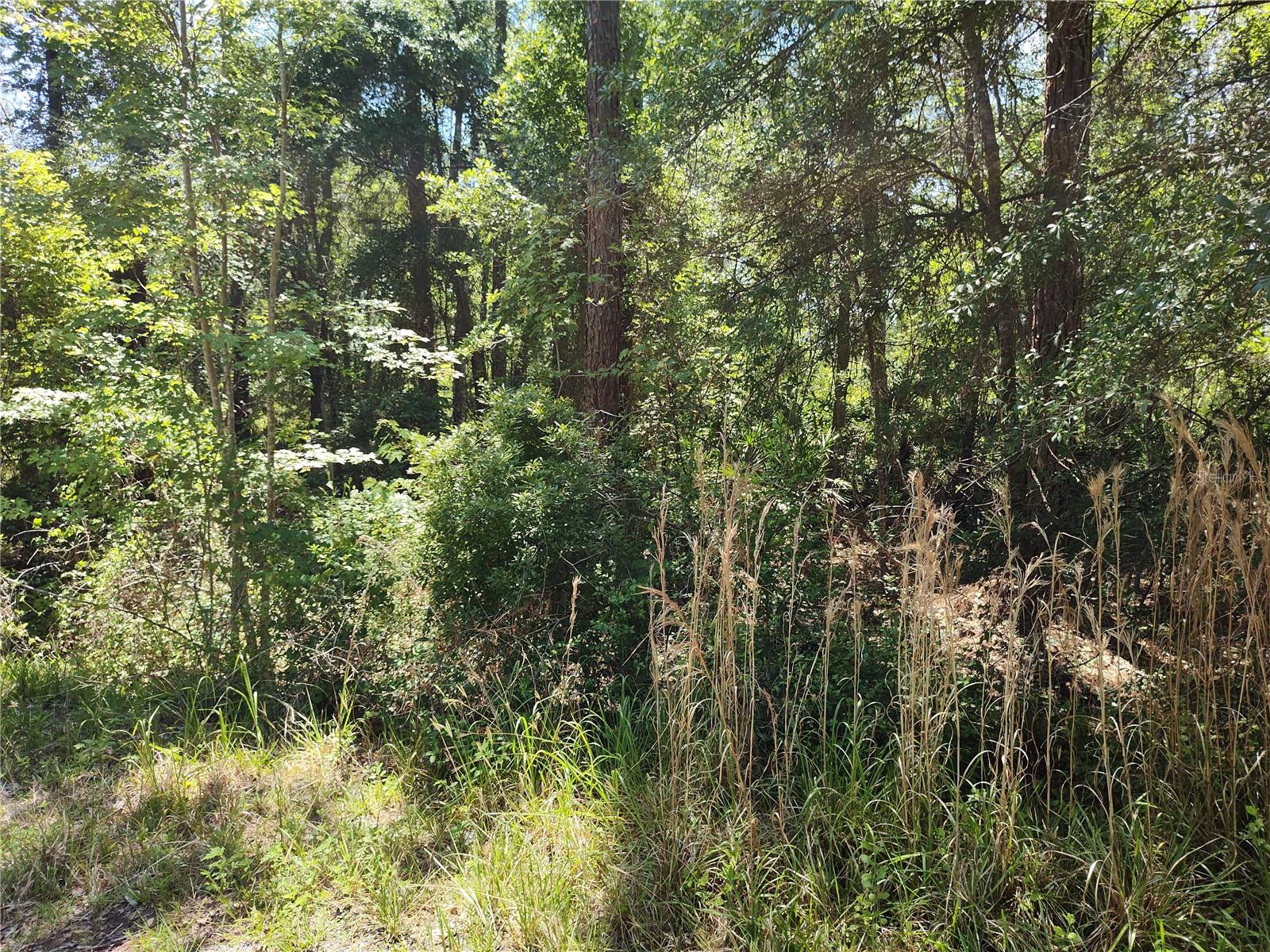 BLACK SINK CAMPSITES - Land