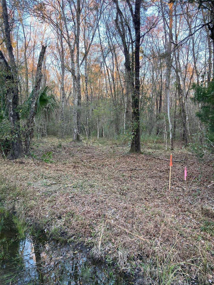 VACANT UNCLEARED 1.14 VACANT LOT IN FLAGLER ESTATES READY FOR YOU.

Flagler Estates is a residential community that offers plenty of space and privacy in rural St Johns County between Palatka and St. Augustine. There are more than 6,000 acres of residential lots along an easy-to-navigate grid of streets shaded by mature trees. Residents enjoy tranquil country living and seclusion near the St. Johns River. It has probably the lowest price point in the county with bigger lots that are at least an acre and sometimes 2 or 3 acres.
New homes still occupy lots of an acre or more
New construction includes lower-priced manufactured homes, but most of the residential additions in recent years have come in the form of contemporary single-family homes that feature paved driveways and attached garages. It’s gone from just mobile homes to a place with the possibility of growing wealth and ownership. New homes are built on the same large lots, so regardless of home style, ample yard space is standard. Prices typically range from around $200,000 to more than $400,000. The occasional multi-acreage home offers room for amenities such as horse stables. The community began with dirt roads, but most have been paved in recent years to improve the infrastructure for a growing population.