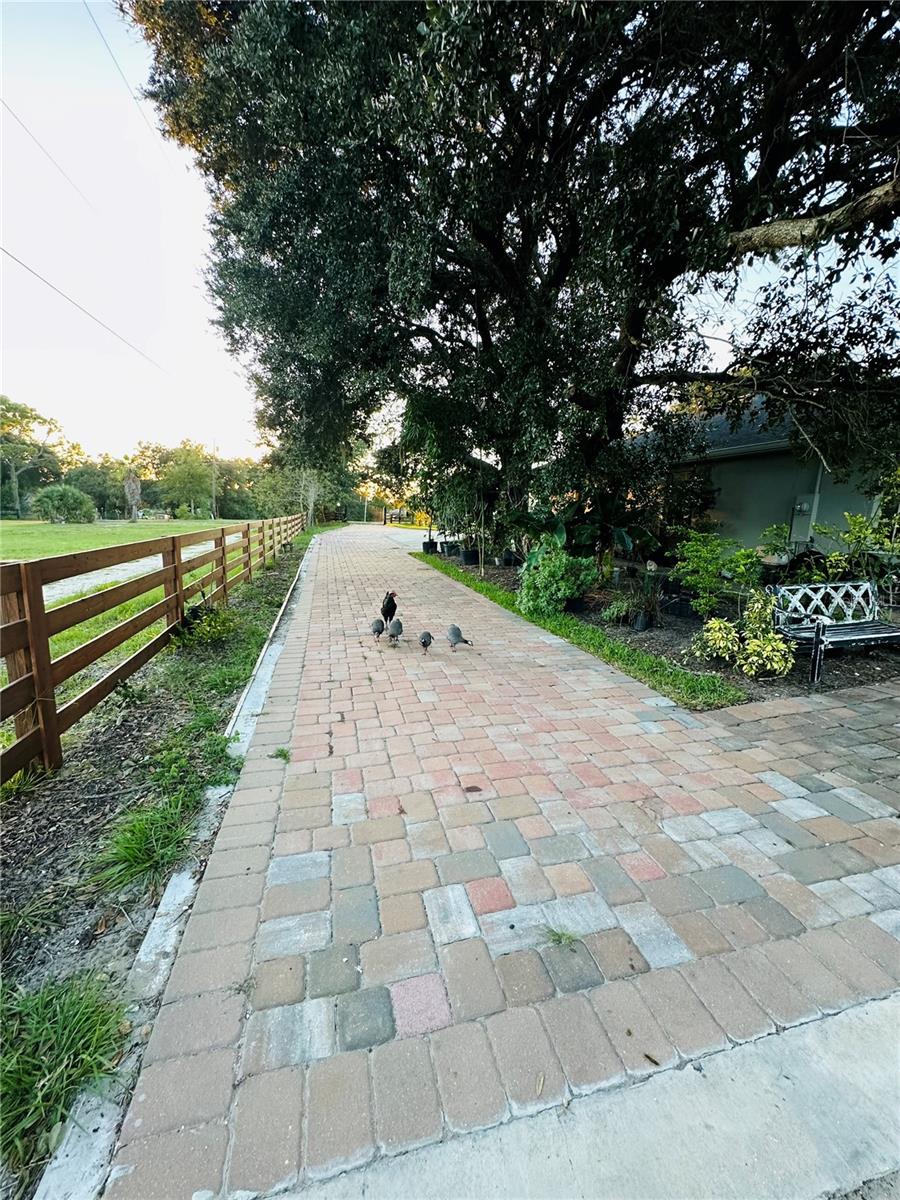 MEADOWLANDS - Residential