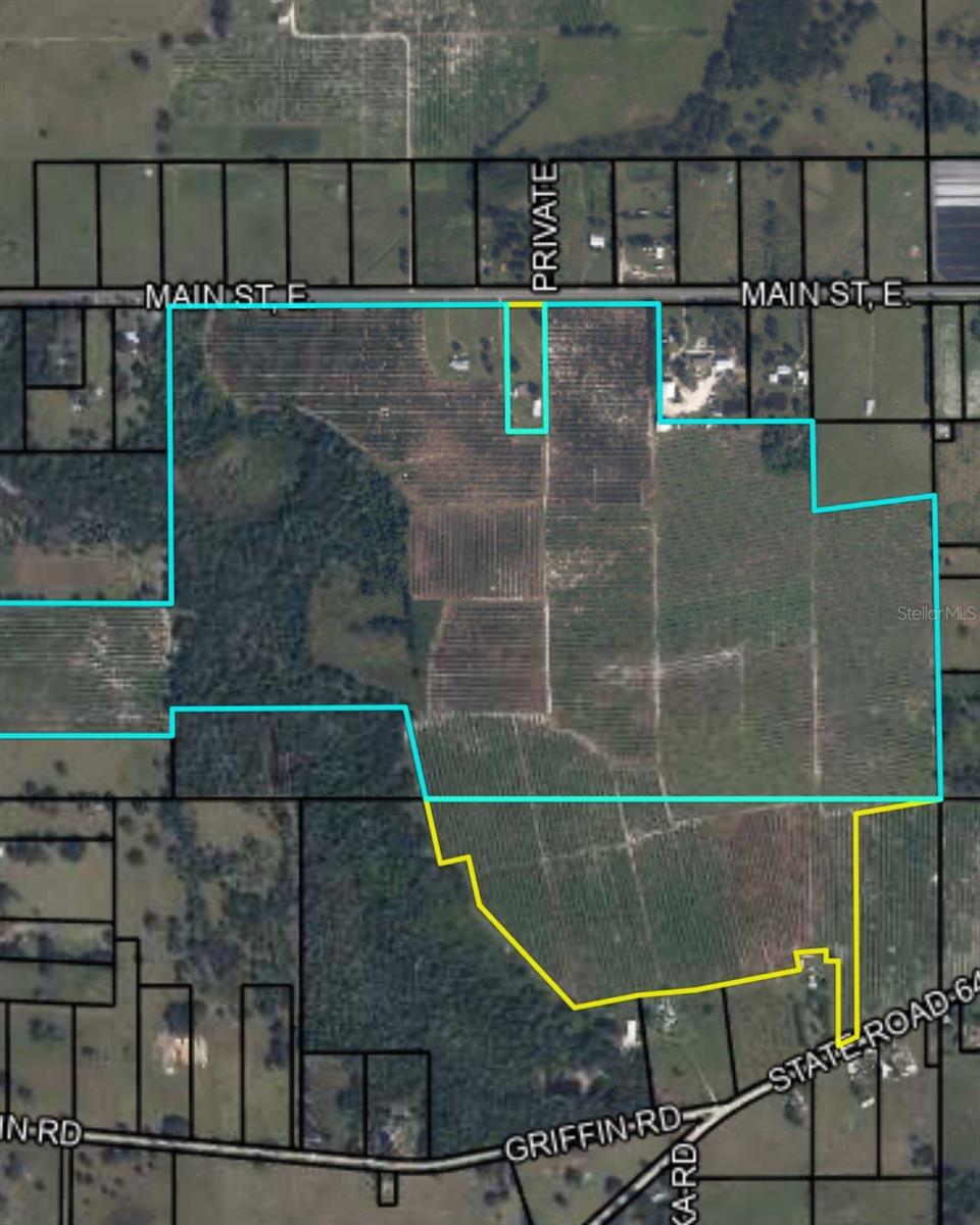 Large 265 acre parcel with access on 2 major roadways and a third local connecting road (3,418 approximate feet of road frontage includes 2518ft on Main Street, 754ft on Hollandtown Road, and 106ft on SR64E)!  Currently used as two homesites and agriculture - call Hardee County Community Development for available options!