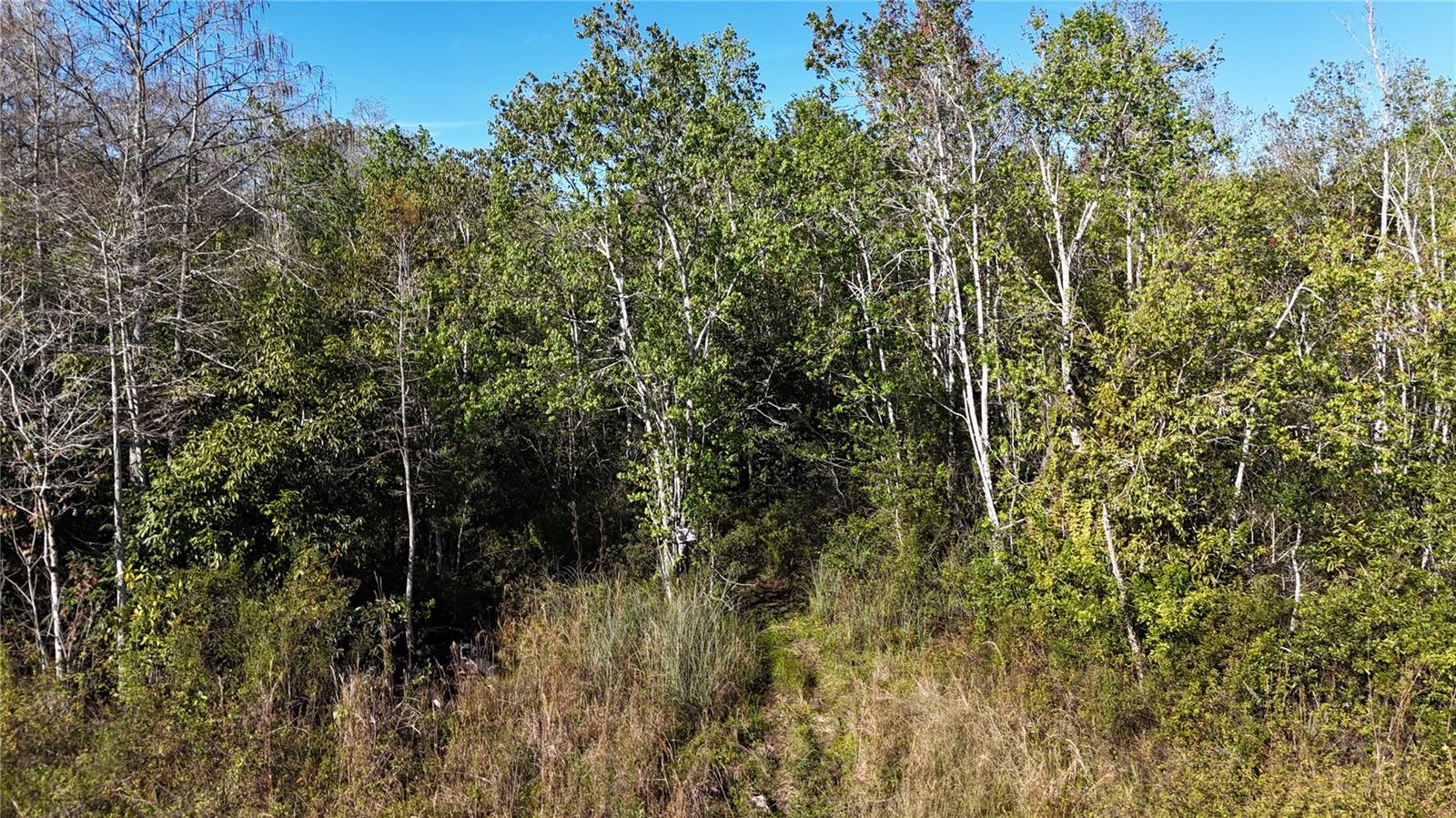 ACREAGE HEADER - Land