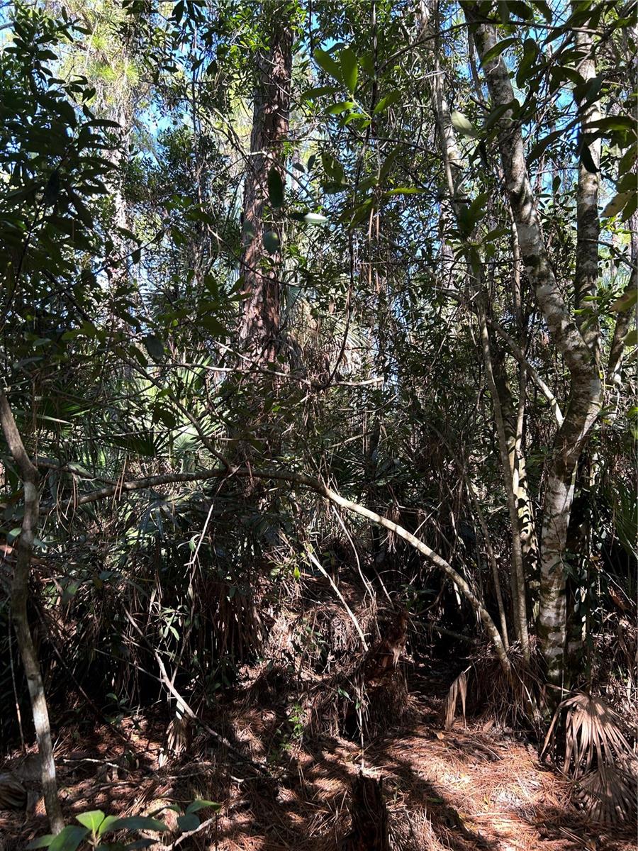 ACREAGE HEADER - Land