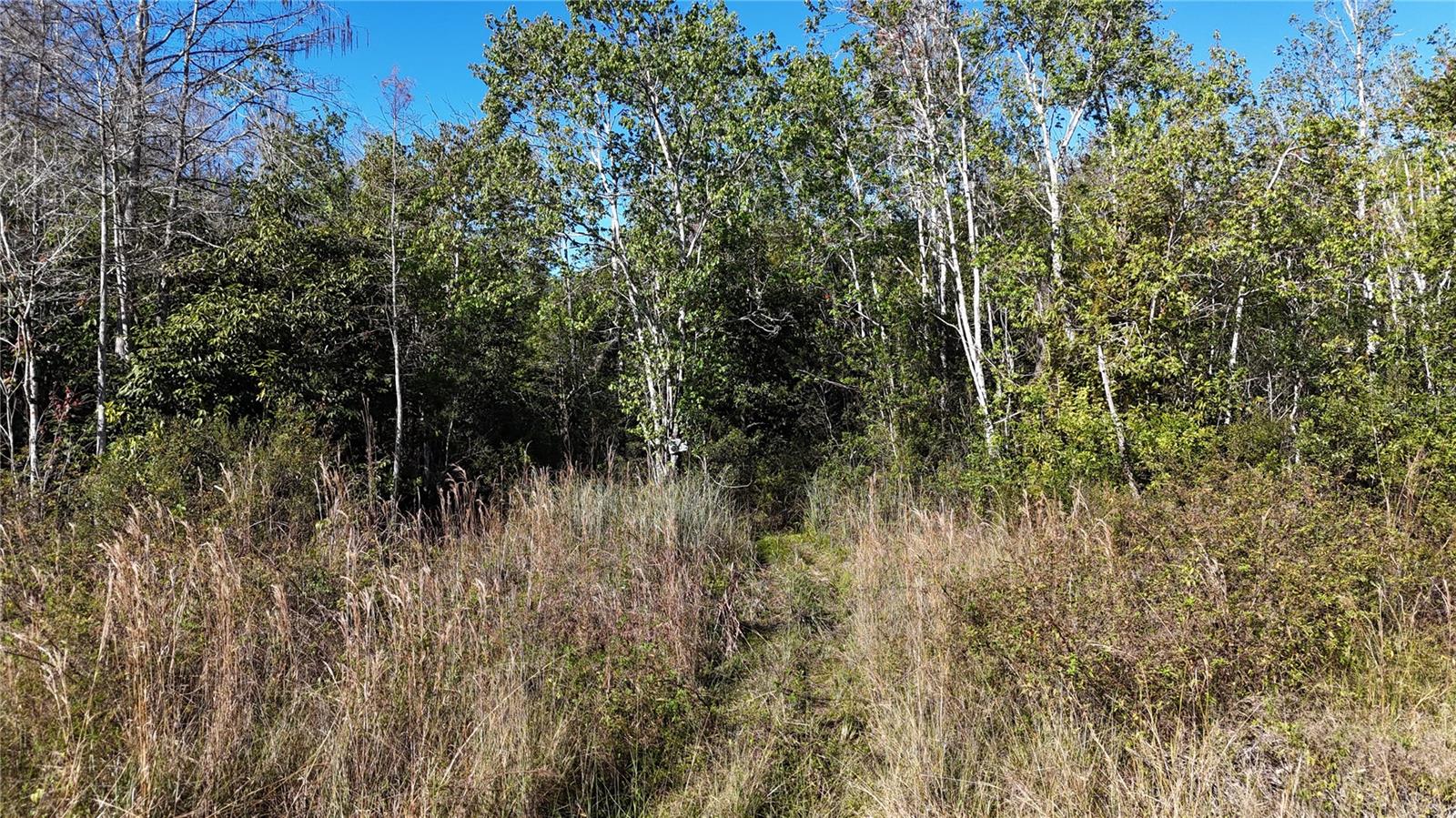 ACREAGE HEADER - Land