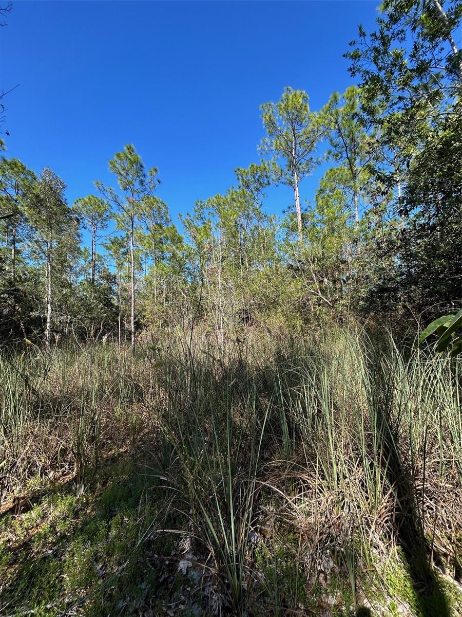 ACREAGE HEADER - Land
