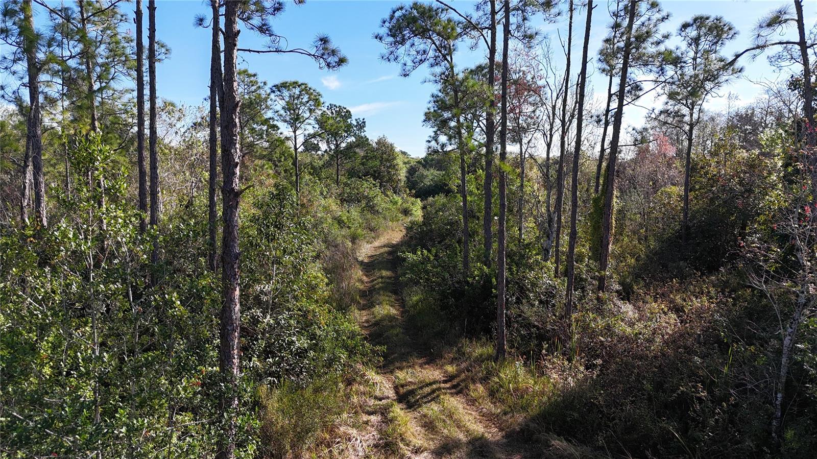 This 4.77-acre parcel, identified as Parcel ID 00112720003, is located in Collier County, Florida, between the communities of Naples and Ave Maria along the Immokalee Road corridor. The property is situated at the end of a dirt road easement, providing a location removed from paved road traffic while still offering regional access.

The property is undeveloped and consists of natural land cover typical of inland Collier County. The terrain appears generally flat and consistent with the surrounding area. Native vegetation is present and supports wildlife habitat. Wildlife has been observed moving through the property, indicating its role within a broader natural corridor.

Access is provided by a dirt road easement. Buyers should independently verify easement terms, maintenance responsibilities, and access conditions. The end-of-road setting may be suitable for those seeking a property with limited through traffic.

The property is located approximately 20 miles east of Naples and approximately 10 miles west of Ave Maria. Immokalee is located roughly 14 miles to the northeast. These nearby communities offer access to employment, retail services, medical facilities, and educational opportunities. Distances are approximate and should be verified by the buyer.No utilities are currently known to be installed on the property. Buyers should confirm the availability and cost of electric service, water options, septic feasibility, and any additional infrastructure needs with Collier County and applicable utility providers. Zoning, land use designations, environmental considerations, and permitting requirements should be reviewed during due diligence to determine allowable uses.

This tract may be suitable for recreational use, land holding, or future improvement, subject to county regulations and environmental requirements. No guarantees are made regarding development potential, buildability, or investment outcomes. The property is offered in its current condition.

This parcel may appeal to buyers seeking acreage in Collier County with proximity to Immokalee Road and access to both coastal and inland communities. All property information is deemed reliable but not guaranteed and should be independently verified.