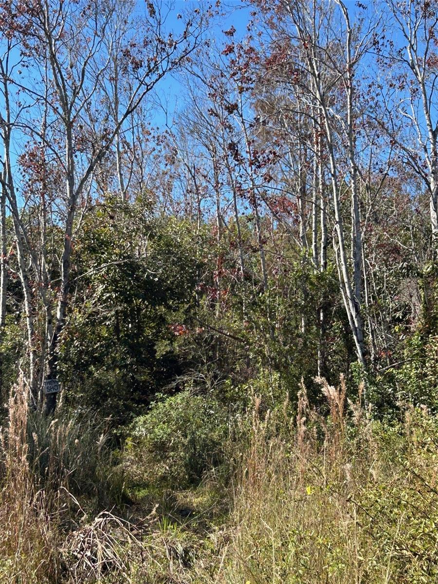 ACREAGE HEADER - Land