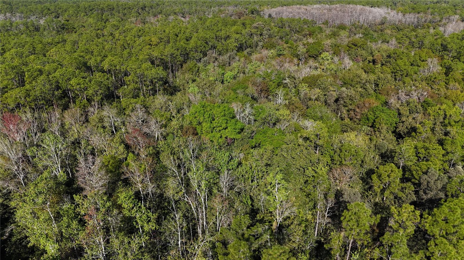 ACREAGE HEADER - Land