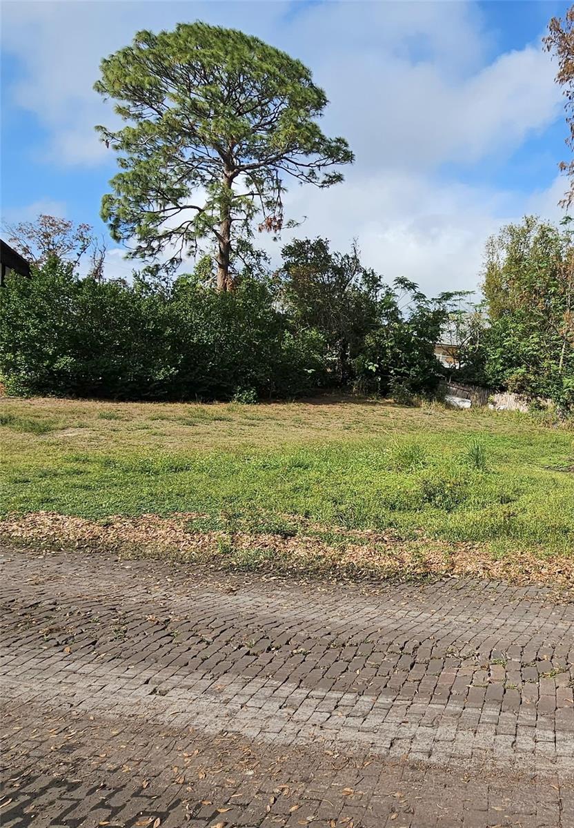 Motivated Seller!!! Build you dream home on the West Shore of Tarpon Lake! Developed parcel  aprox. 300 ft to the lake, Not in a Flood Zone and NO HOA! Located in Gnouy Park subdivision on a brick road (  the road to be redone and adding the drainage in 2026 per city's info) that brings you to a dead ends to the lakefront with a small dock . Perfectly if you are looking for a quite, nestled area but still close to shopping, dining, parks, golf courses, famous Tarpon Springs Sponge Docks "Sponge Capital of the Wolrd" and everything that Downtonw Tarpon Spring has to offer.
LOT #6 is ready to build, but the seller owns the LOT #5 as well. Boundary and Topographic Survey done in 2022. 
If interested in purchasing them jointly bring your offers today!