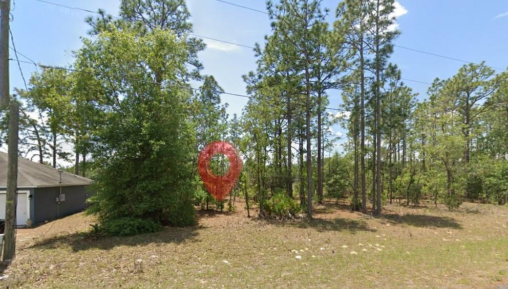 Discover the perfect opportunity to own a 0.23-acre homesite in Citrus Springs, Florida! This spacious lot is nestled in a quiet, growing community known for its natural beauty and relaxed lifestyle. With paved road access and plenty of room to build, it’s ideal for your future home, vacation getaway, or long-term investment.

Enjoy the convenience of nearby shopping, dining, schools, and outdoor recreation—including golf courses, parks, and the Withlacoochee State Trail. No HOA means more flexibility to design and build on your terms.

Whether you’re looking to build now or hold for the future, this property offers excellent potential at an affordable price. Don’t miss your chance to own land in one of Florida’s up-and-coming areas!