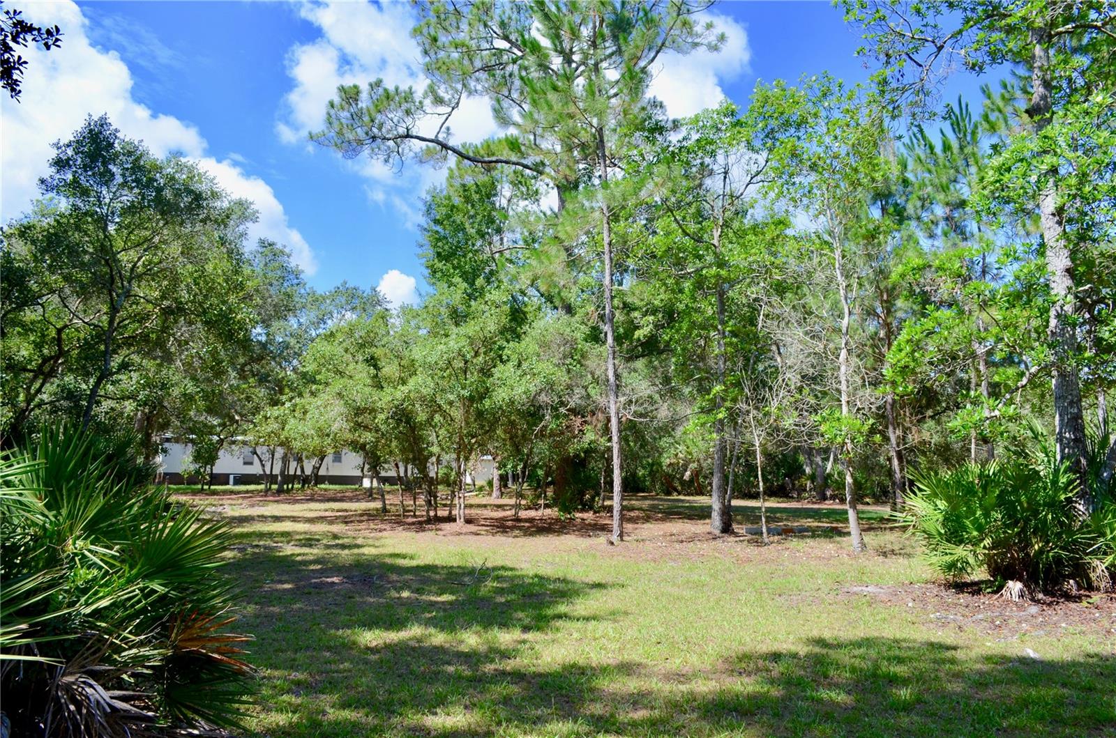 FOREST RDG #48-51 - Residential