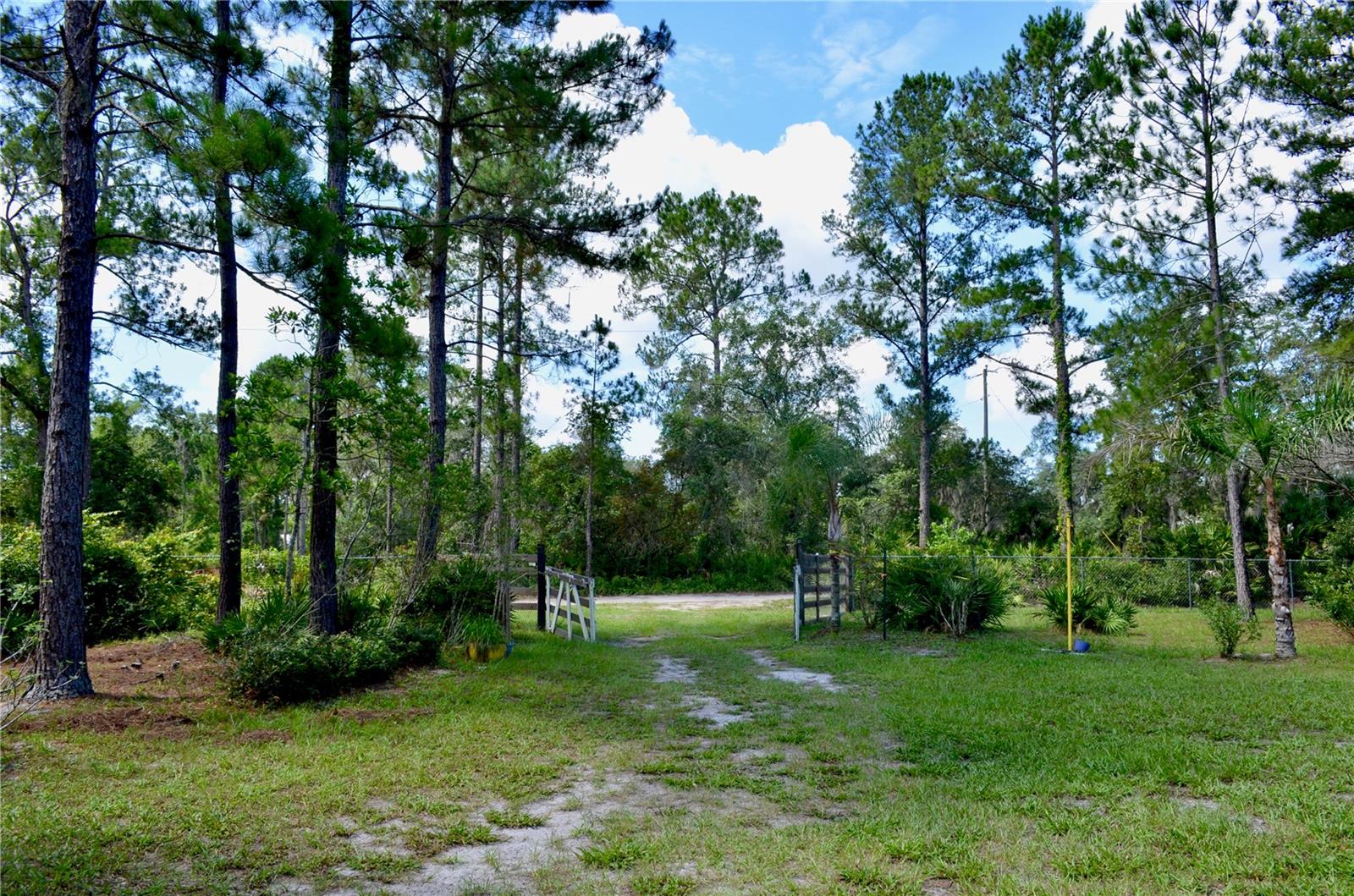 FOREST RDG #48-51 - Residential