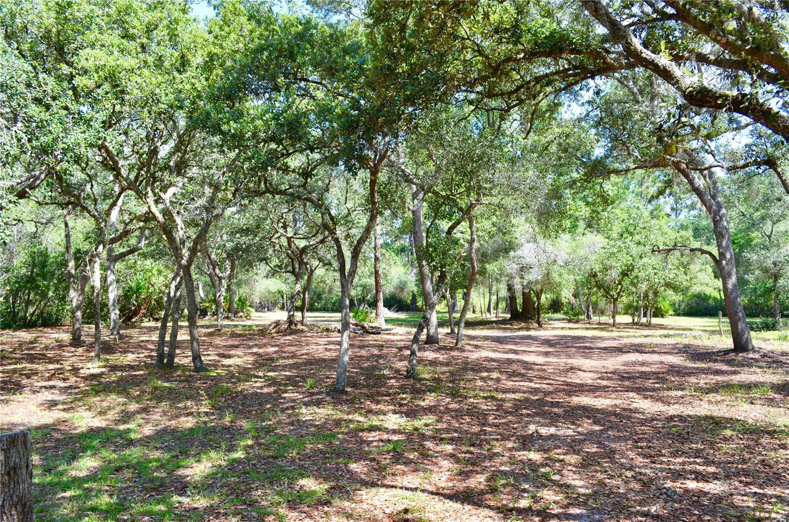 FOREST RDG #48-51 - Residential