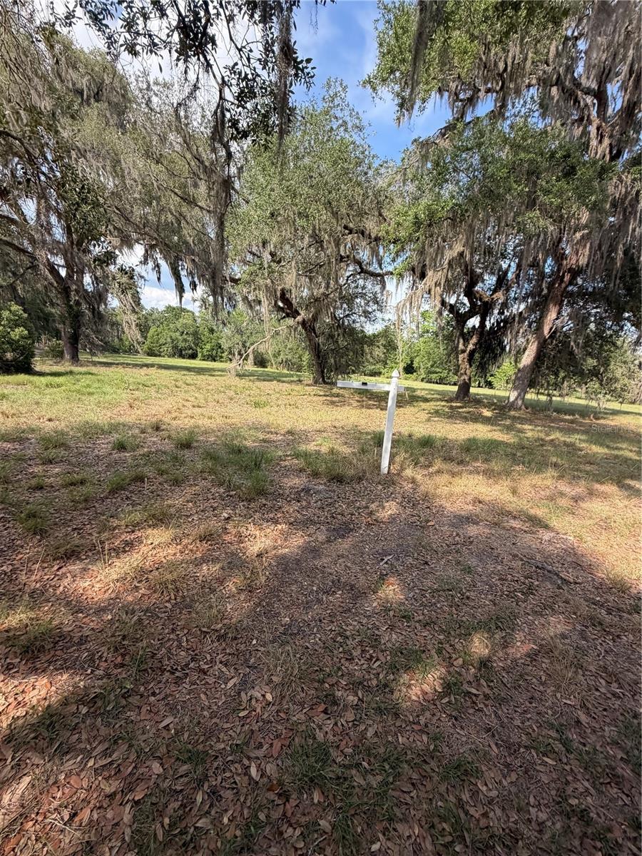 PALOMINO LAKES - Land