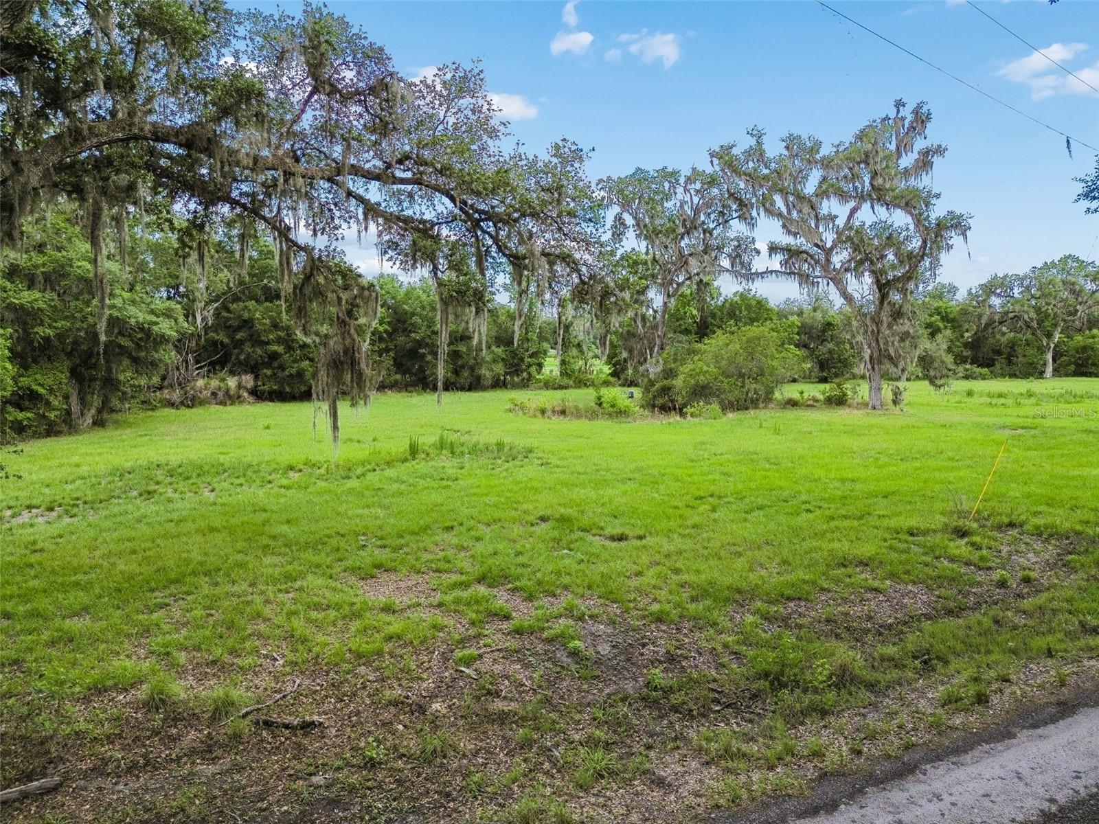 PALOMINO LAKES - Land